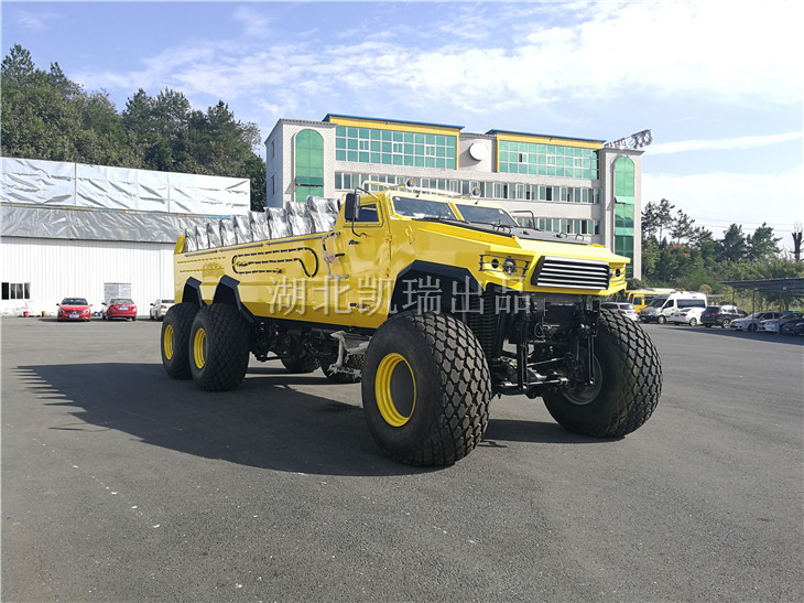 沙漠沖浪車定制 沙漠沖浪車定制
